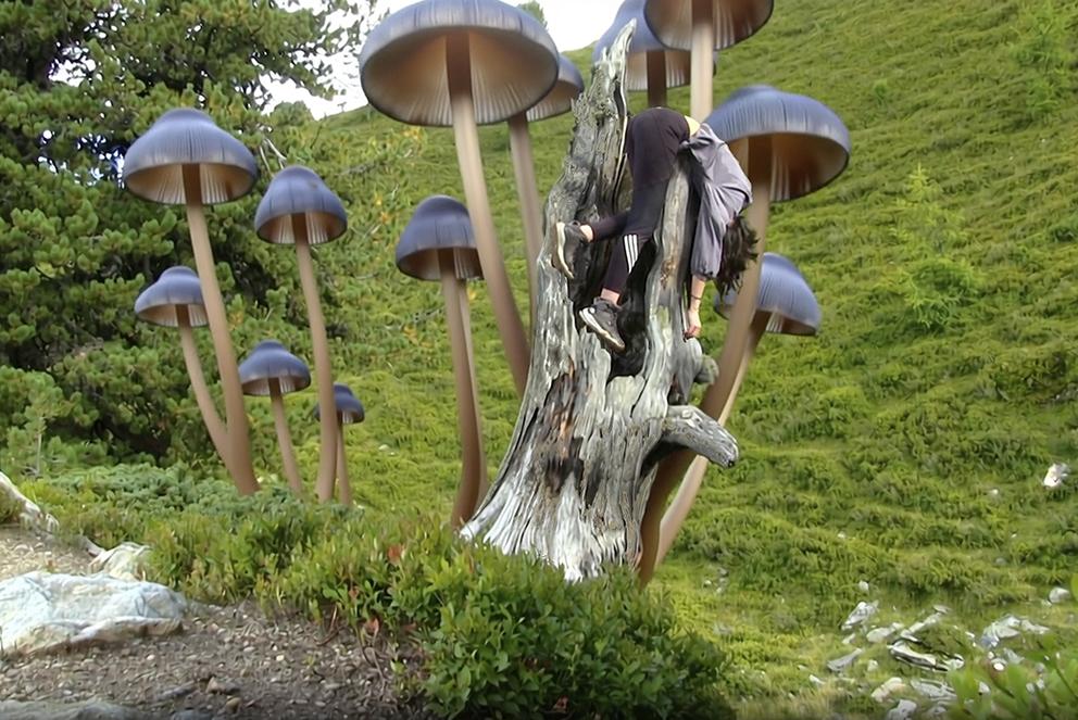 Exposición «Fungi Cosmology»: arte, ciencia y cooperación internacional